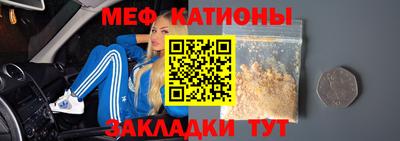 шишки Камышлов