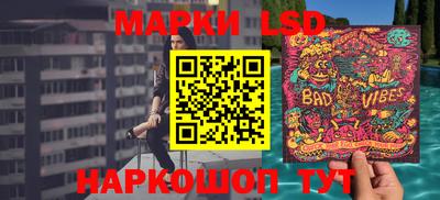 шишки Камышлов