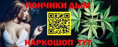 шишки Камышлов