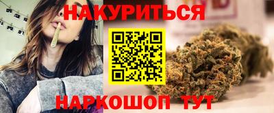 шишки Камышлов