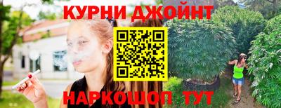прущие грибы Кандалакша