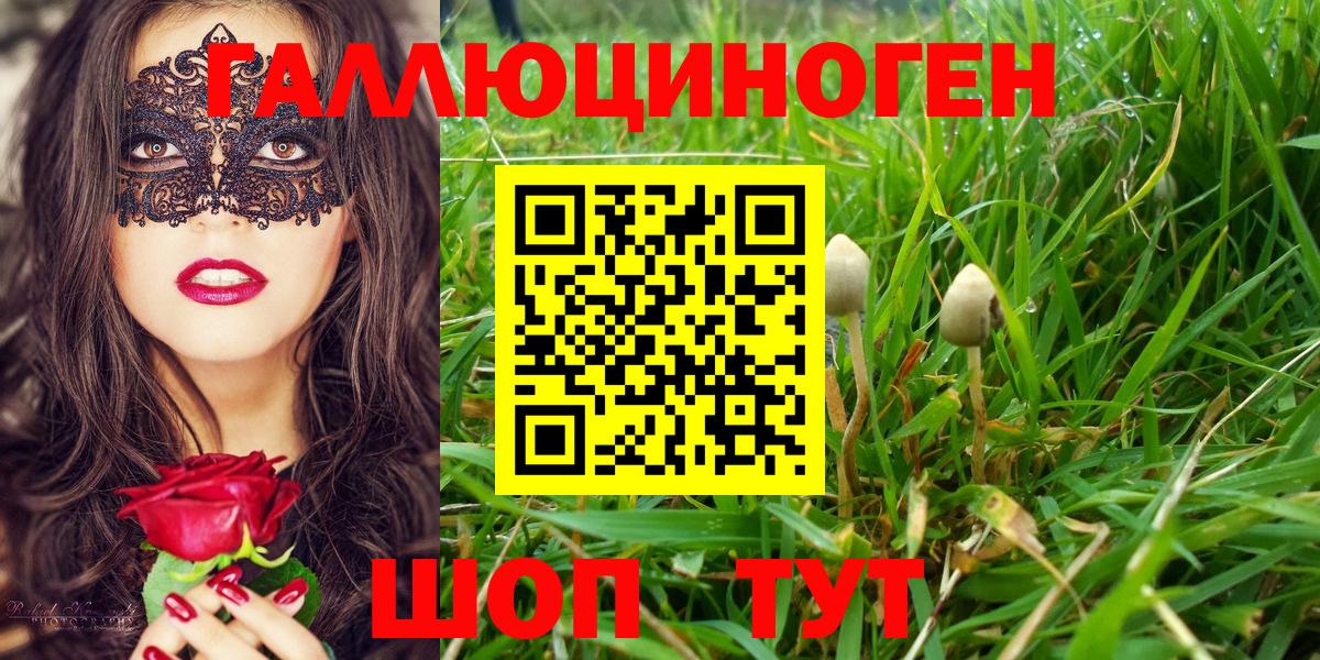 Галлюциногенные грибы MAGIC MUSHROOMS Красноярск